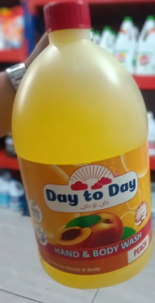 Day to day hand and body wash 3.8L