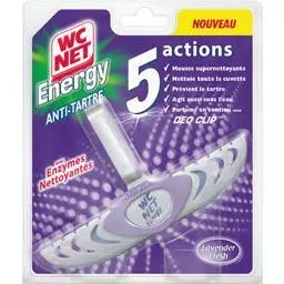 Wc net energy 5 actions