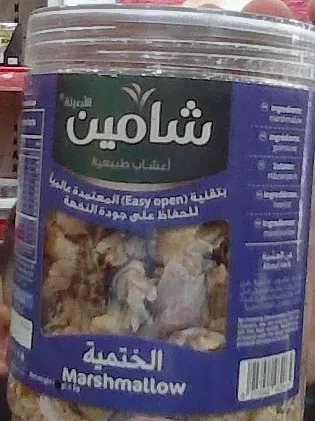 شامين الختمية فلت