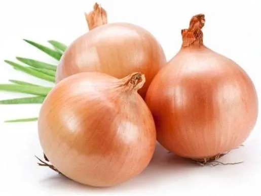 بصل يابس