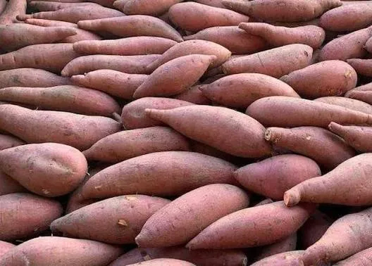 بطاطا حلوة