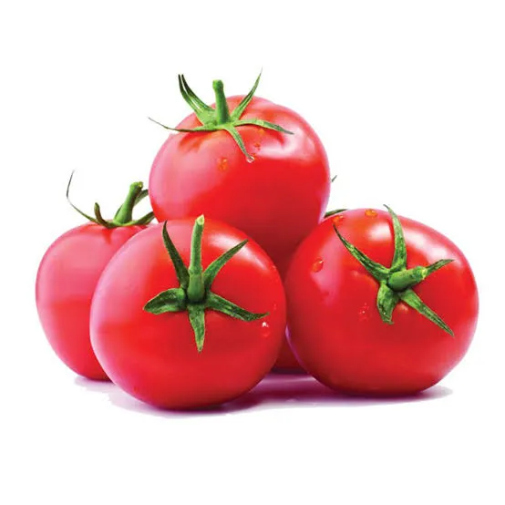 بندورة