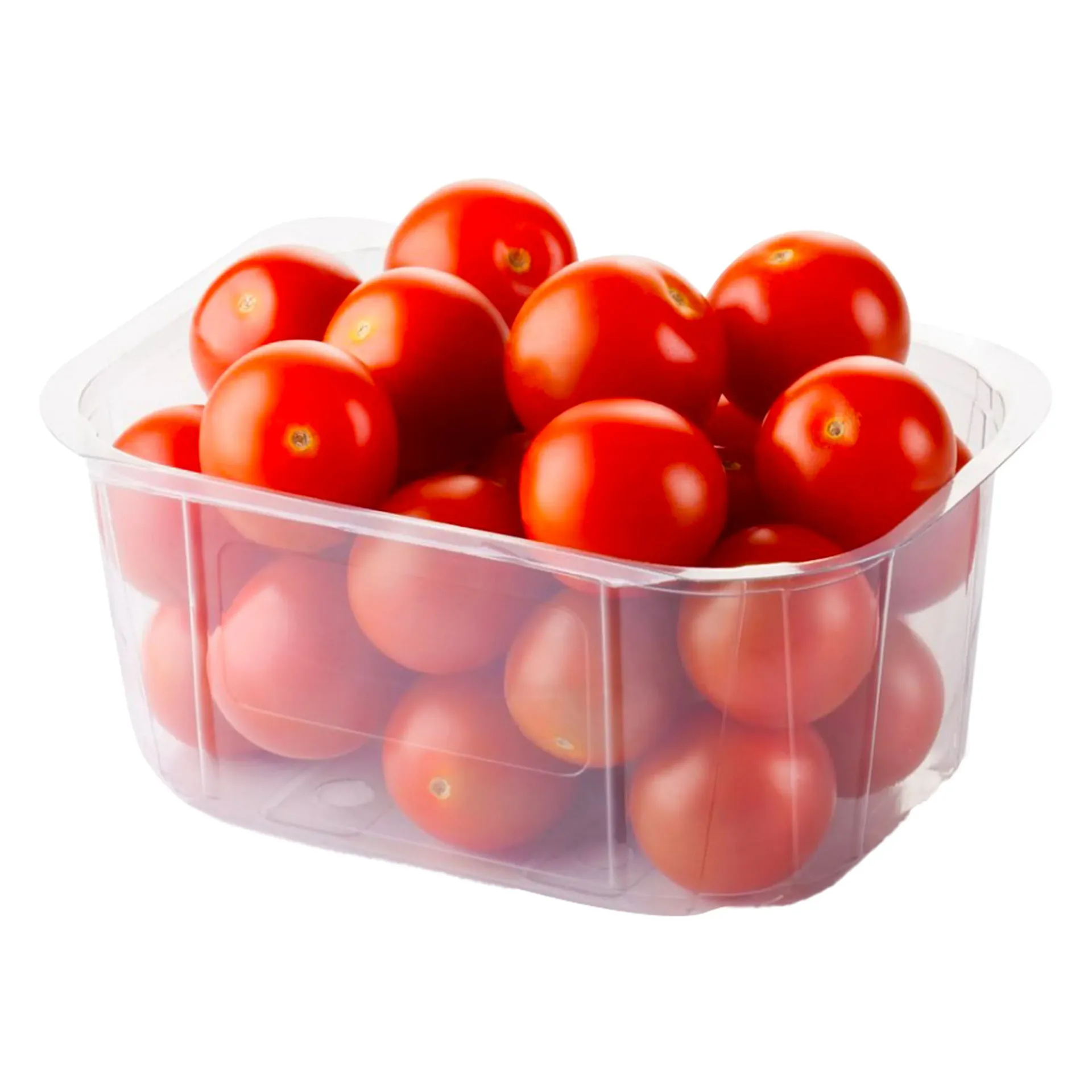 بندورة سيريز