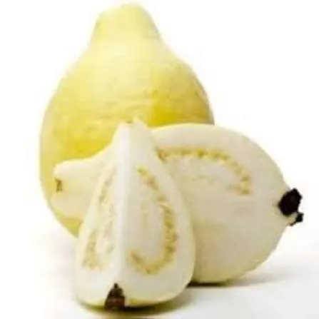 جوافة
