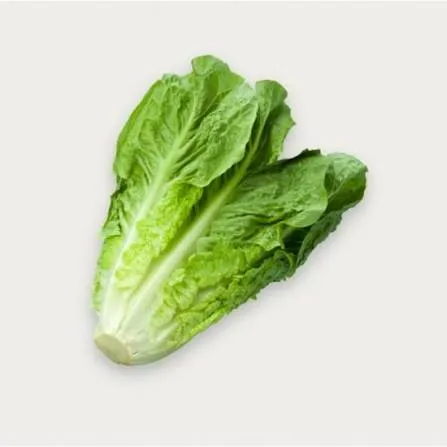 خسة