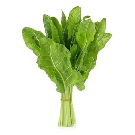 سلق