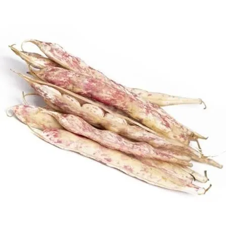 عيشة خانم