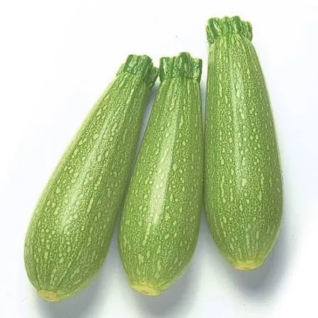 كوسا