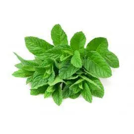 نعنع