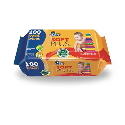 Gipsy 100 wet wipes